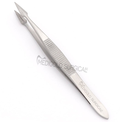 Splinter Forcep 12cm