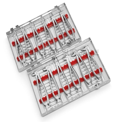 Extraction Forceps Kit 12